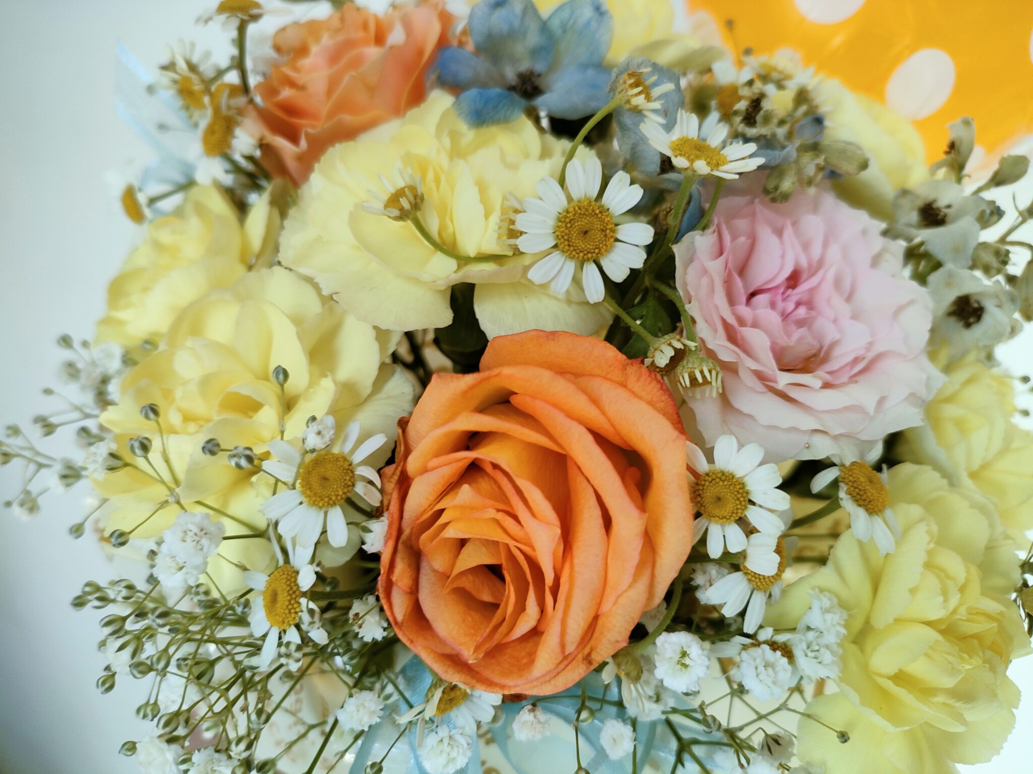 ベリー動脈瘤はどのように治療されますか?